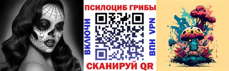 Псилоцибиновые грибы прущие грибы  Купить закладки  Нефтегорск 